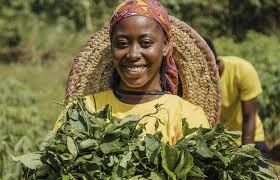 Individual Loan (Current Account)